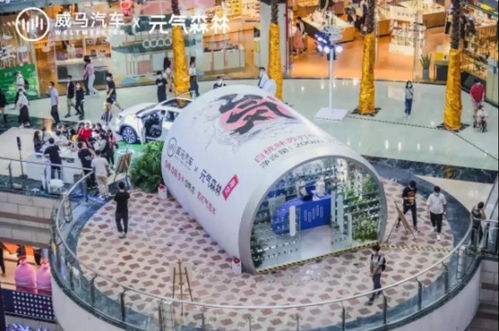 給全民造車,威馬尋找破圈機(jī)會點(diǎn)